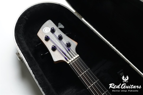 Platinum Series Single-Cut , e-volution 5 - Macassar Ebony